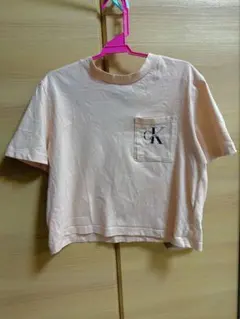 Calvin Klein Jeans クロップドTシャツ ベビーピンク　ベージュ