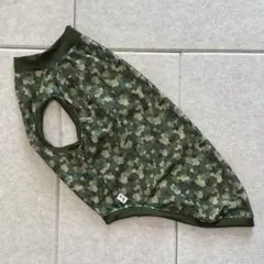 Item thumbnail for item 90af884b-428a-42af-bd6a-c083e4db034e