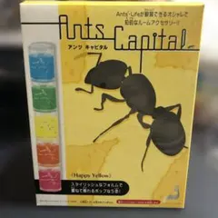 HAMASUGE様 リクエスト 4点 まとめ商品