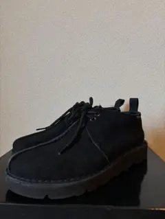 Clarks Desert Trek GTX クラークス デザートトレック