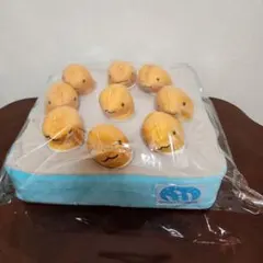 海畑 ちんあなご にしきあなご ぬいぐるみ プライズ