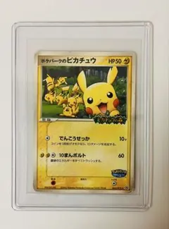 ポケパークのピカチュウ PROMO PCG-Pプロモカード 043/PCG-Pのサムネイル