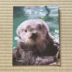 2026年最新】海の中道マリンワールド ラッコ リロの人気アイテム