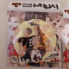 ハイキュー!! コレクション缶バッジ 第３弾