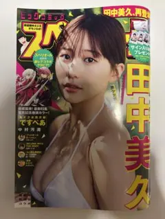 田中美久 青年漫画