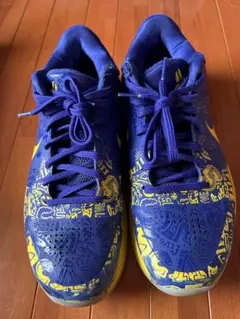 Nike kobe5バスケットボールシューズ バーガンディ/シルバー23.0cm