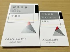 司法試験 2025 労働法 総合講義 アガルート - メルカリ