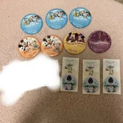 アウラニ ミッキー ミニー ステッカー 缶バッチ