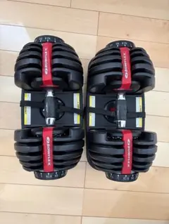 可変式ダンベル 24kg×2個セット