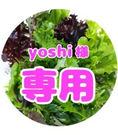 yoshi様✨専用