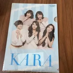 KARAのSEUNGYEON クリアファイル - メルカリ