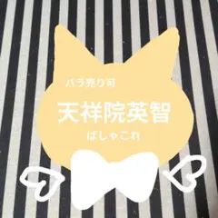 あんスタ 英智 ぱしゃこれ 中国 星幻 5周年 箔押し サイン 3周年 星動
