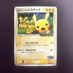ポケパークのピカチュウ PROMO PCG-Pプロモカード 043/PCG-P - メルカリ