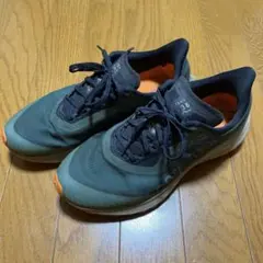 Nike トレイルペガサス36 25センチ
