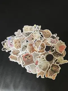 猫のステッカーセット　50枚入り