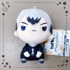 【タグ付き】ハイキュー!! もちぴこぬいぐるみ第10弾　北信介