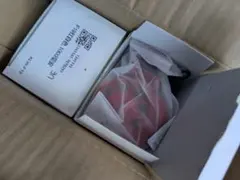 팬