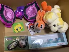 ピカピカボックス2025 ポケモン ぬいぐるみ グッズ 雑貨 フィギュア