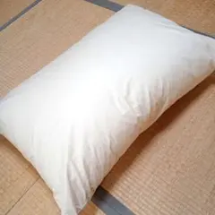 インビスタ/INVISTA ダクロンFRESH枕 ビッグサイズ カバー付き