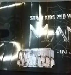 Stray Kids W会員特典 ピクチャーチケット クラッパー