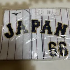 万波中正　侍ジャパン　Mizuno 日本代表 ユニフォーム 66 Lサイズ