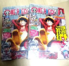 ワンピースマガジン20号　ルフィプロモ付き　2冊