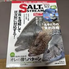 SALT&STREAM VOL.21