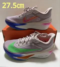 NIKE ズームフライ6 キプチョゲモデル　サイズ26.5cm 2026年最新】ズームフライ6 キプチョゲの人気アイテム - メルカリ