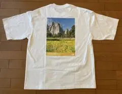 【新品未使用】THE NORTH FACE ヨセミテ Tシャツ ホワイト