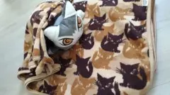 Item thumbnail for item a0434d28-6b6e-411b-80db-270557606d7e