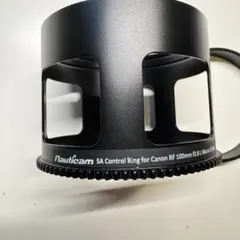 Item thumbnail for item 9ea67c4d-5fd7-421e-ac19-4d058e80dbdd