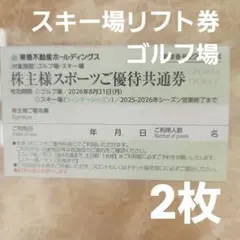 スポーツご優待共通券 スキー場リフト券 東急不動産ホールディングス 2枚セット