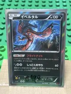 イベルタル フライトナイト厳選コレクション BW XY - メルカリ