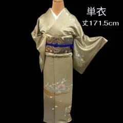 2026年最新】訪問着 トールサイズ 正絹の人気アイテム - メルカリ