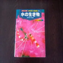 『美品』学研の図鑑　ポケット版 水の生き物　とじ込み資料付き