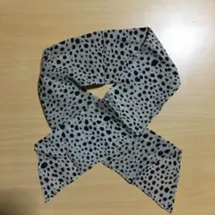 Item thumbnail for item 679b8a95-30cf-4bed-bd6d-06c413654a23