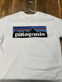 パタゴニアpatagoniaウィメンズ・ロングスリーブ・P-6ロゴ