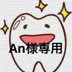 An様専用ページ 歯ブラシ