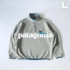 Patagonia 2018年 シンチラスナップT ニカラグア製 ファンホグス柄