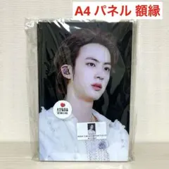 BTSジン パネル⑰ 額縁　フレーム　マスター　マスタニム