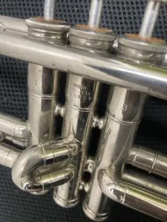 Item thumbnail for item 3884256d-14cc-48e2-b552-c68668b0ff55