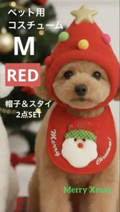 Item thumbnail for item 4336958f-e2a3-4831-bca4-71aee013720e