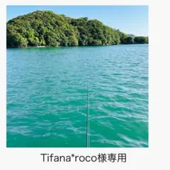 『Tifana*roco様専用』ルースお纏めページ