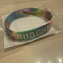 BMSGFES'25 シリコンバンド