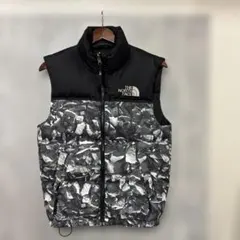 【希少カラー】ノースフェイス ヌプシ　ダウンベスト 700FP