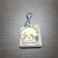 らっこ　ちいかわぷっくりラバマスグミ　4