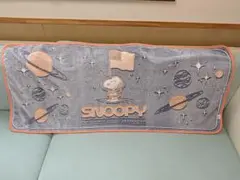 Item thumbnail for item c35a5de0-06b5-4341-9c04-577a6a0e00f2