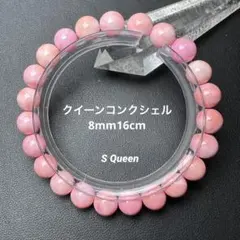 2026年最新】貝 コンクシェルの人気アイテム - メルカリ