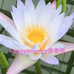 お徳用接着芯　中.薄手