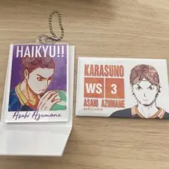 ハイキュー!! トレーディングAni-Art東峰旭セット